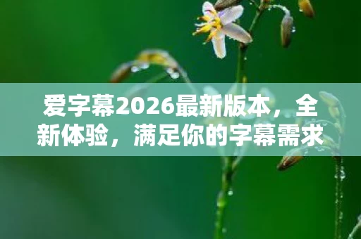 爱字幕2026最新版本图片