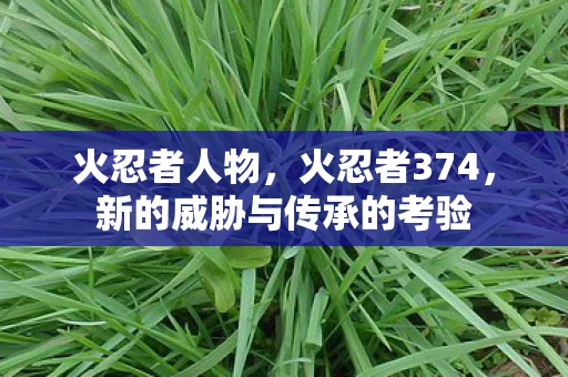 火忍者人物,火忍者374,新的威胁与传承的考验 火忍者人物,火忍者374,新的威胁与传承的考验