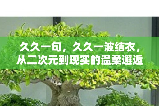 久久一句，久久一波结衣，从二次元到现实的温柔邂逅