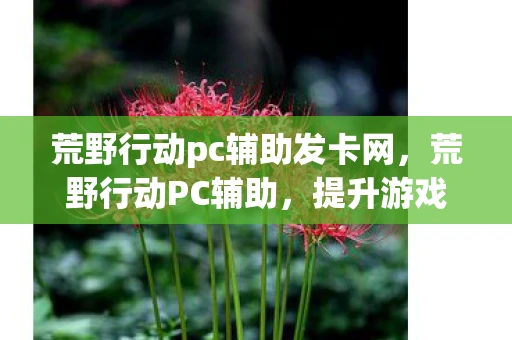 荒野行动pc辅助发卡网，荒野行动PC辅助，提升游戏体验的利器