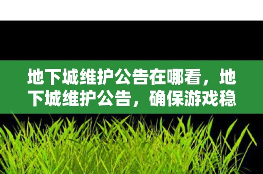 地下城维护公告在哪看，地下城维护公告，确保游戏稳定，迎接新版本更新