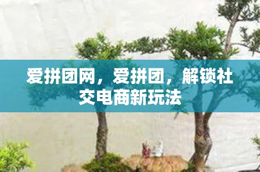 爱拼团网,爱拼团,解锁社交电商新玩法 爱拼团网,爱拼团,解锁社交电商新玩法