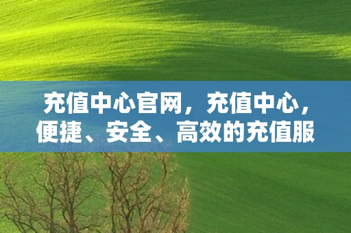 充值中心官网，充值中心，便捷、安全、高效的充值服务