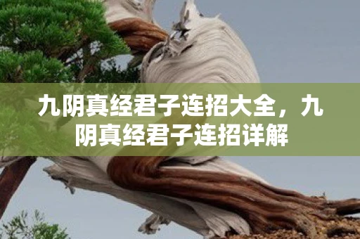 九阴真经君子连招大全，九阴真经君子连招详解