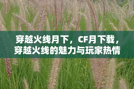 穿越火线月下，CF月下载，穿越火线的魅力与玩家热情