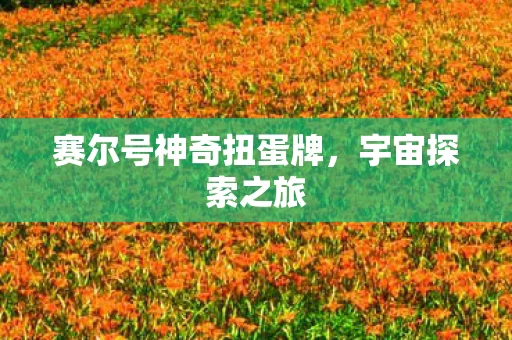 赛尔号神奇扭蛋牌图片
