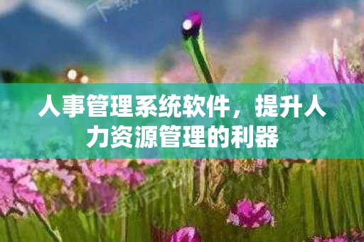 人事管理系统软件，提升人力资源管理的利器