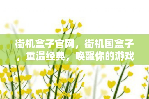街机盒子官网,街机国盒子,重温经典,唤醒你的游戏情怀 街机盒子官网,街机国盒子,重温经典,唤醒你的游戏情怀