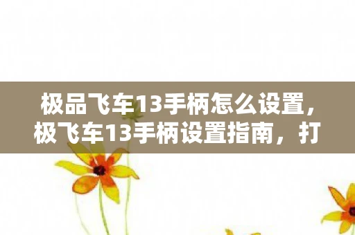 极品飞车13手柄怎么设置，极飞车13手柄设置指南，打造个性化操控体验