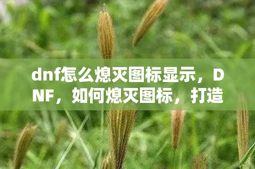 dnf怎么熄灭图标显示，DNF，如何熄灭图标，打造个性化游戏界面