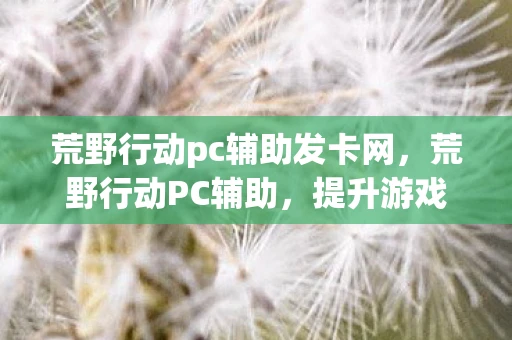 荒野行动pc辅助发卡网,荒野行动PC辅助,提升游戏竞技水平的秘密武器 荒野行动pc辅助发卡网,荒野行动PC辅助,提升游戏竞技水平的秘密武器