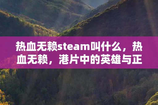 热血无赖steam叫什么，热血无赖，港片中的英雄与正义