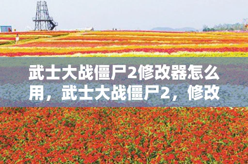 武士大战僵尸2修改器怎么用，武士大战僵尸2，修改与进阶攻略