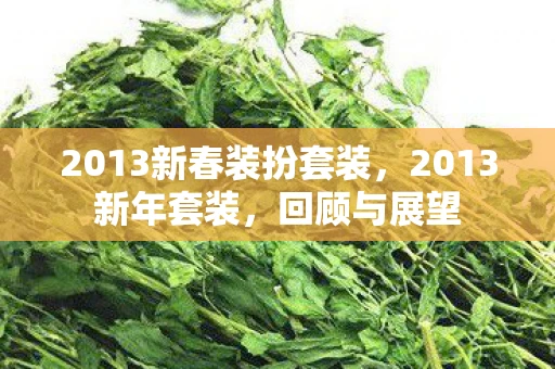 2013新春装扮套装，2013新年套装，回顾与展望