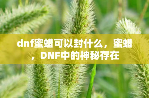 dnf蜜蜡可以封什么,蜜蜡,DNF中的神秘存在 dnf蜜蜡可以封什么,蜜蜡,DNF中的神秘存在