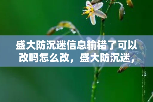 盛大防沉迷信息输错了可以改吗怎么改，盛大防沉迷，守护青少年健康成长的数字盾牌
