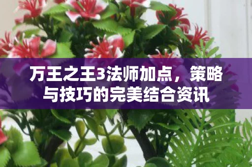 策略与技巧的完美结合资讯图片