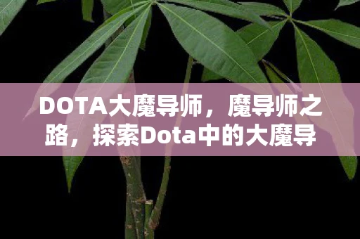 DOTA大魔导师,魔导师之路,探索Dota中的大魔导师传奇 DOTA大魔导师,魔导师之路,探索Dota中的大魔导师传奇