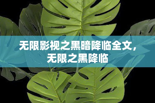 无限影视之黑暗降临全文，无限之黑降临