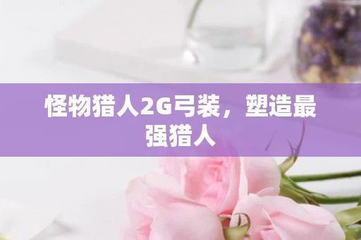 怪物猎人2G弓装图片