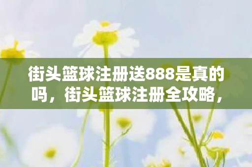 街头篮球注册送888是真的吗,街头篮球注册全攻略,从零开始,打造你的篮球梦 街头篮球注册送888是真的吗,街头篮球注册全攻略,从零开始,打造你的篮球梦