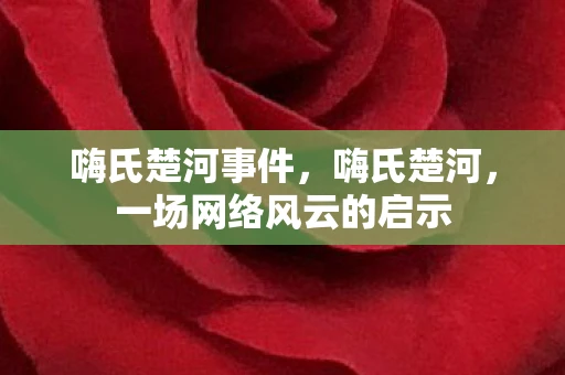 嗨氏楚河事件,嗨氏楚河,一场网络风云的启示 嗨氏楚河事件,嗨氏楚河,一场网络风云的启示
