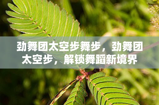 劲舞团太空步舞步，劲舞团太空步，解锁舞蹈新境界