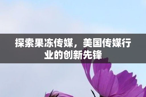 探索果冻传媒，美国传媒行业的创新先锋
