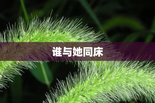 谁与她同床 谁与她同床