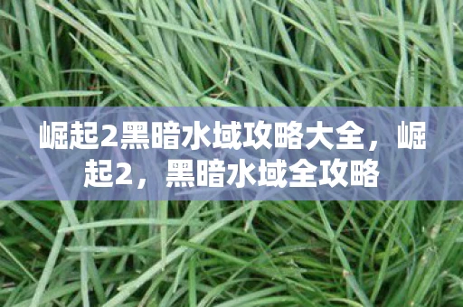 崛起2黑暗水域攻略大全,崛起2,黑暗水域全攻略 崛起2黑暗水域攻略大全,崛起2,黑暗水域全攻略