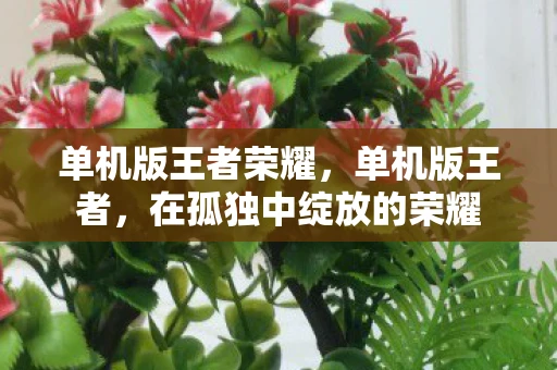 单机版王者荣耀,单机版王者,在孤独中绽放的荣耀 单机版王者荣耀,单机版王者,在孤独中绽放的荣耀