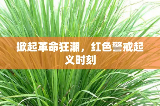 红色警戒起义时刻图片