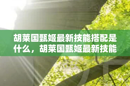 胡莱国甄姬最新技能搭配是什么,胡莱国甄姬最新技能搭配,打造无敌阵容的秘诀 胡莱国甄姬最新技能搭配是什么,胡莱国甄姬最新技能搭配,打造无敌阵容的秘诀
