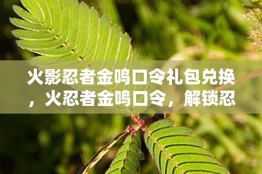 火影忍者金鸣口令礼包兑换,火忍者金鸣口令,解锁忍者世界的秘密 火影忍者金鸣口令礼包兑换,火忍者金鸣口令,解锁忍者世界的秘密