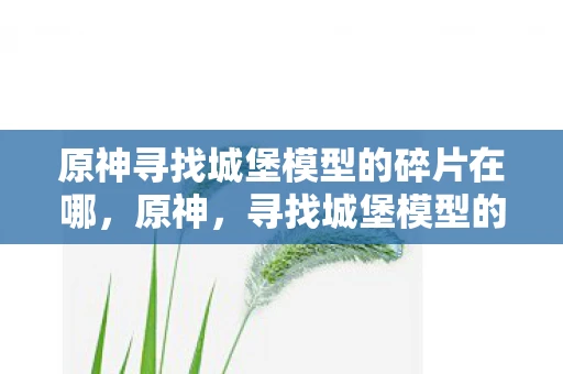 原神寻找城堡模型的碎片在哪，原神，寻找城堡模型的碎片，解锁隐藏的秘密