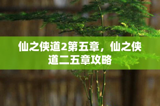 仙之侠道2第五章,仙之侠道二五章攻略 仙之侠道2第五章,仙之侠道二五章攻略
