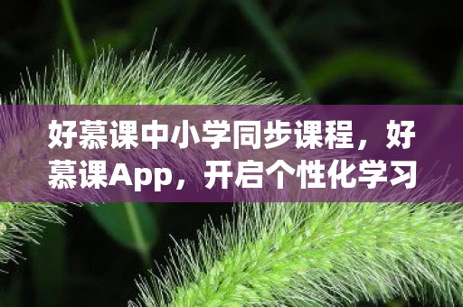 好慕课中小学同步课程,好慕课App,开启个性化学习新篇章 好慕课中小学同步课程,好慕课App,开启个性化学习新篇章