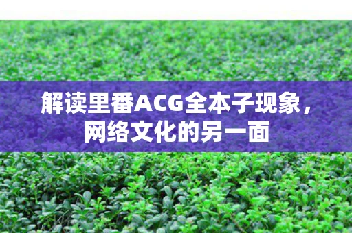 解读里番ACG全本子现象，网络文化的另一面