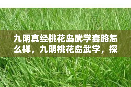 九阴真经桃花岛武学套路怎么样,九阴桃花岛武学,探寻金庸武侠中的神秘门派 九阴真经桃花岛武学套路怎么样,九阴桃花岛武学,探寻金庸武侠中的神秘门派