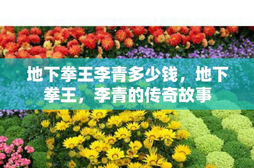 地下拳王李青多少钱,地下拳王,李青的传奇故事 地下拳王李青多少钱,地下拳王,李青的传奇故事