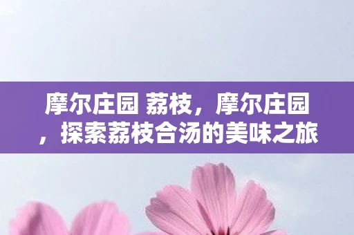 摩尔庄园 荔枝,摩尔庄园,探索荔枝合汤的美味之旅 摩尔庄园 荔枝,摩尔庄园,探索荔枝合汤的美味之旅