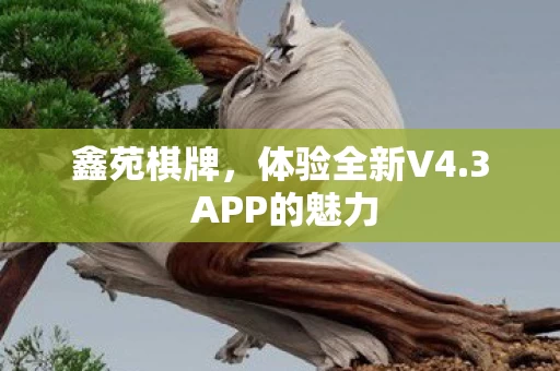 3 APP的魅力图片