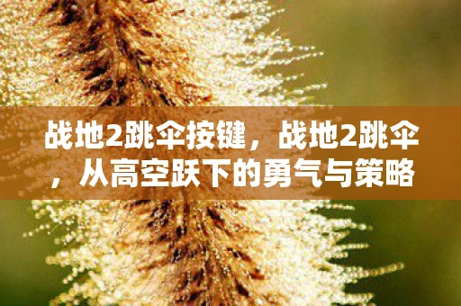 战地2跳伞按键,战地2跳伞,从高空跃下的勇气与策略 战地2跳伞按键,战地2跳伞,从高空跃下的勇气与策略