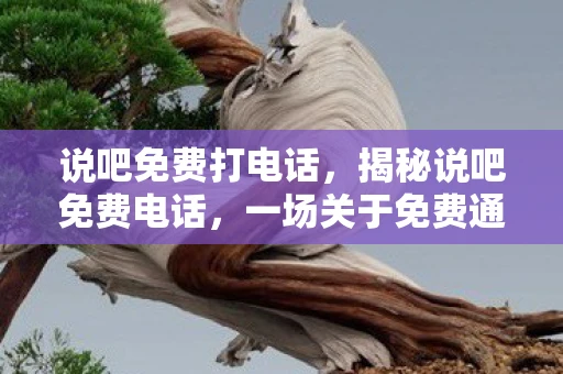 说吧免费打电话，揭秘说吧免费电话，一场关于免费通话的真相探索
