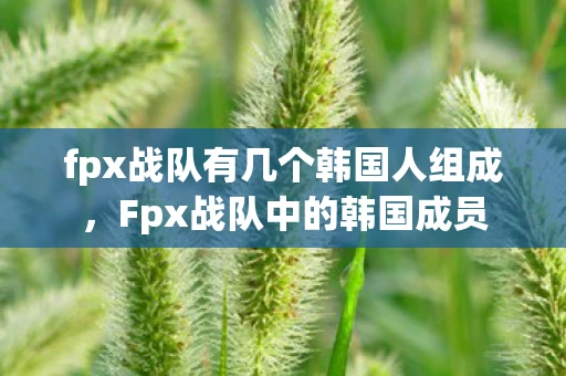 fpx战队有几个韩国人组成，Fpx战队中的韩国成员