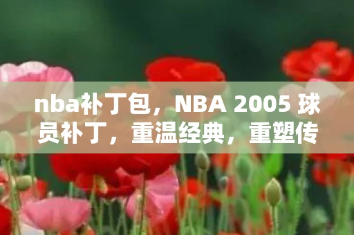 nba补丁包，NBA 2005 球员补丁，重温经典，重塑传奇