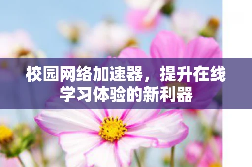 校园网络加速器，提升在线学习体验的新利器