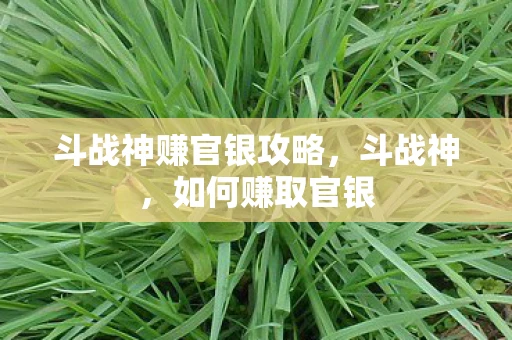 斗战神赚官银攻略，斗战神，如何赚取官银