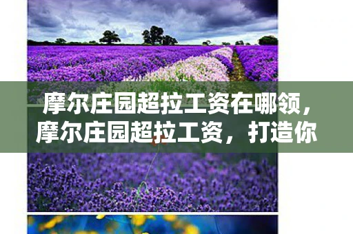 摩尔庄园超拉工资在哪领,摩尔庄园超拉工资,打造你的财富帝国 摩尔庄园超拉工资在哪领,摩尔庄园超拉工资,打造你的财富帝国