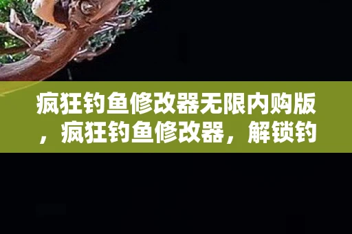疯狂钓鱼修改器无限内购版，疯狂钓鱼修改器，解锁钓鱼新境界